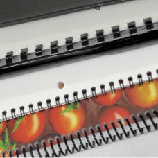 colorful binded books